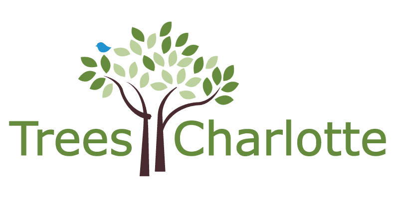TreesCharlotte